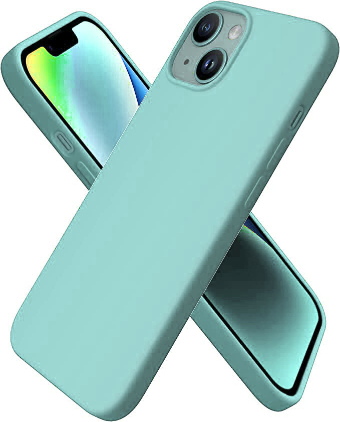 C-MINT HYBRID IP 14/13